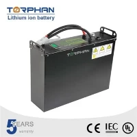 24V Вилочные литиевые батареи